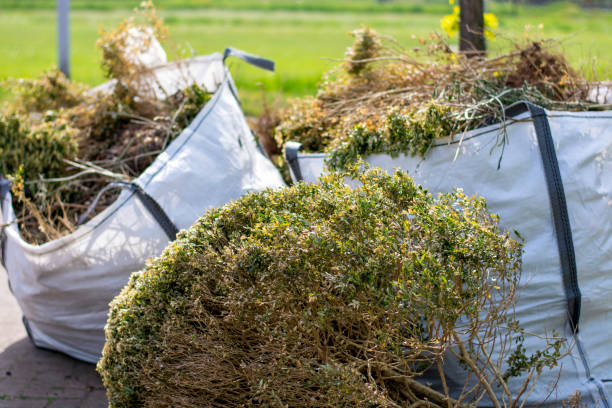 Best Construction Debris Removal  in Dolton, IL