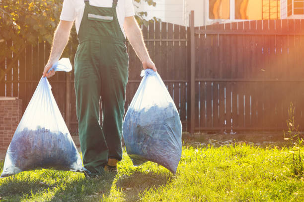 Best Basement Cleanout  in Dolton, IL
